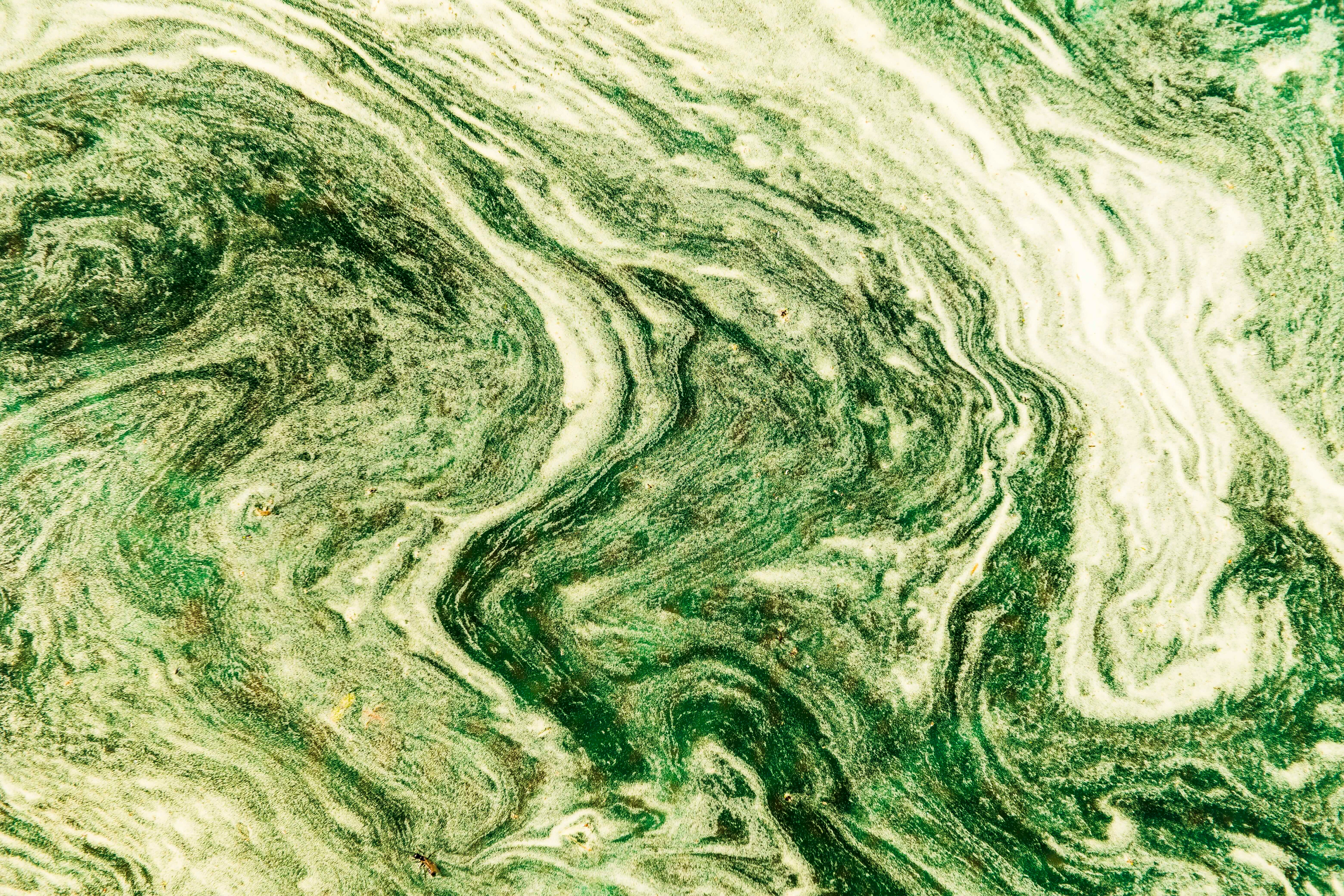 Xiuyan Jade -  A Treasured Gemstone of Chinese Culture