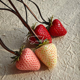 This is a simulated strawberry bag charm. The charm features a strawberry, the same size as a real strawberry, and is made of high-quality resin, giving it a very realistic appearance. It also has a leather cord attached, allowing it to be hung on bags, earphone cases, or used as a keychain. It's versatile and very cute.